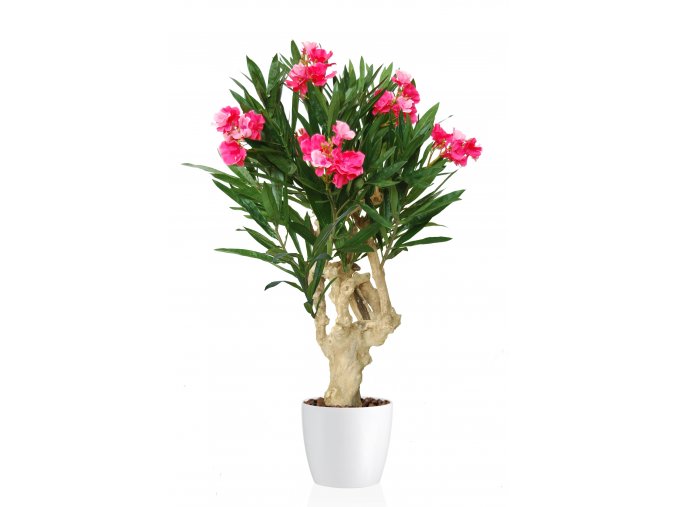 Oleander Crown Mini 100 cm Pink 1079004