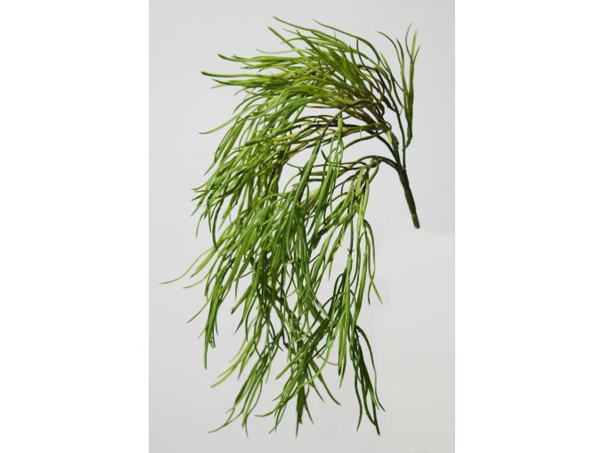 Coral Grass Hanging 45 cm Green 5582GRN