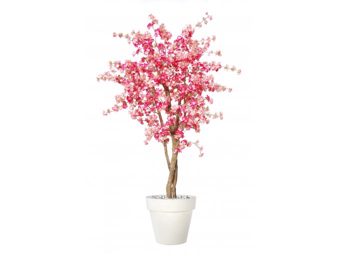 Cherry Wild Tree 180 cm Pink V1084P07