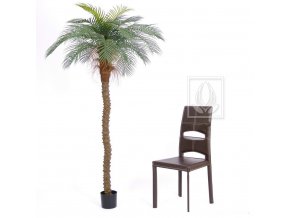 5752 umela palma datlova senegal 200cm
