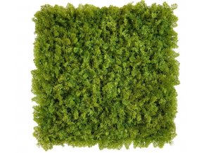 mos groen moswand 50x50cm mat Kunsthaagvoordeel