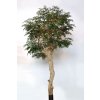 Myrsifolia Nidra Lux 320 cm Green (2)