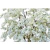 Jasmine Twisted Tree 240 cm White V5563001b