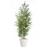 Bamboo Bush 240 cm Green 5488001
