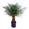 Umělá palma Datlová (Varianta 170cm)