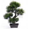 9790 umela bonsai mountain pine 80cm