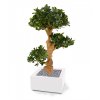 27189 3 umela bonsai panda 90cm