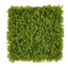 mos groen moswand 50x50cm mat Kunsthaagvoordeel