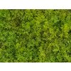kunstmos spring green moswand 50x50cm mat Kunsthaagvoordeel detail2
