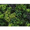Green fantasy plantenwand detail3