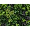 Green fantasy plantenwand detail1
