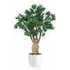 Podocarpus Crown Mini 110 cm Green 1093016
