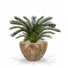 180108 cycas palm deluxe 80 cemani wood bowl 4