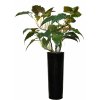 Philodendron Opal Lux 290 cm Green V5609001