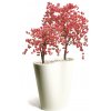 Cherry Wild Trees 215 cm Pink V1084P03+4