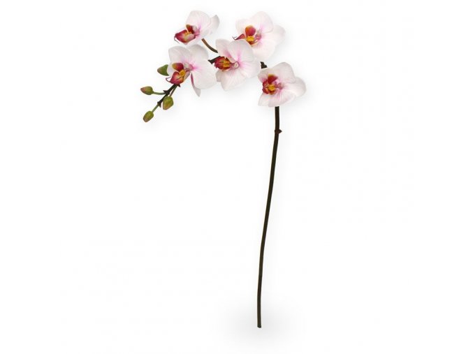 510003 mini phalaenopsis 50 cm rose