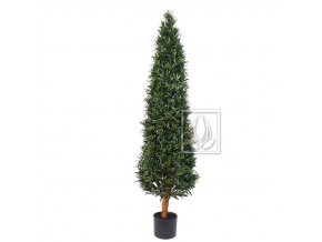 Umělý strom Podocarpus Cone (140cm)