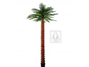 Umělá palma Olejná (400cm)