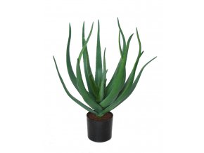 Aloe Vera w pot 60 cm Green 5429GRN (1)