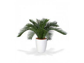 Umělá palma Cycas Baby (30cm)