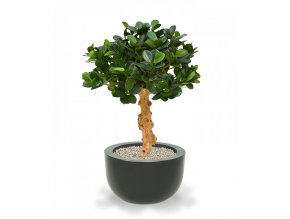 Umělá bonsai Panda (60cm)