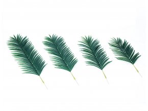 Palmovy list Areca