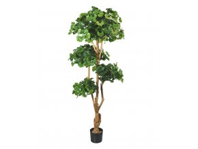 Umělá bonsai Ginko (170cm)