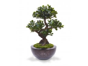 108007 panda bonsai 70 in luxe schaal 1