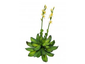 Umělá rostlina Stonerose (32cm) žlutá