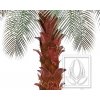 Palmová kůra umělá (20x15cm), 10ks