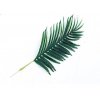 palmovy list Areca 75cm