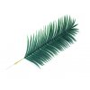 palmovy list Areca 120cm