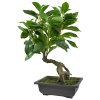 Umělá bonsai Ficus (50cm) - v misce