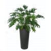 Philodendron Lux 125 cm Green V5513GRN