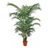 Umělá palma Areca Elegant (190cm)