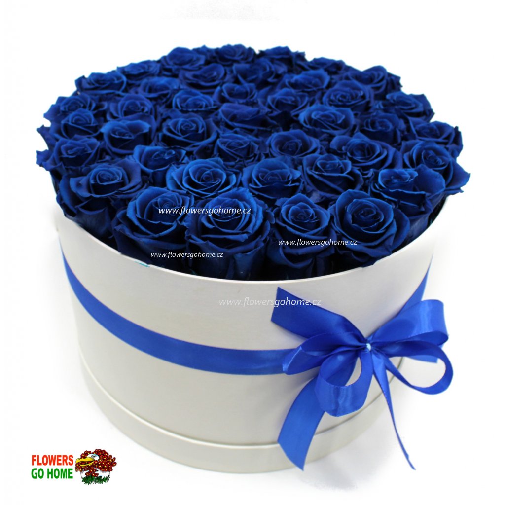 Stabilizovaná růže 40 ks Royale Blue logo