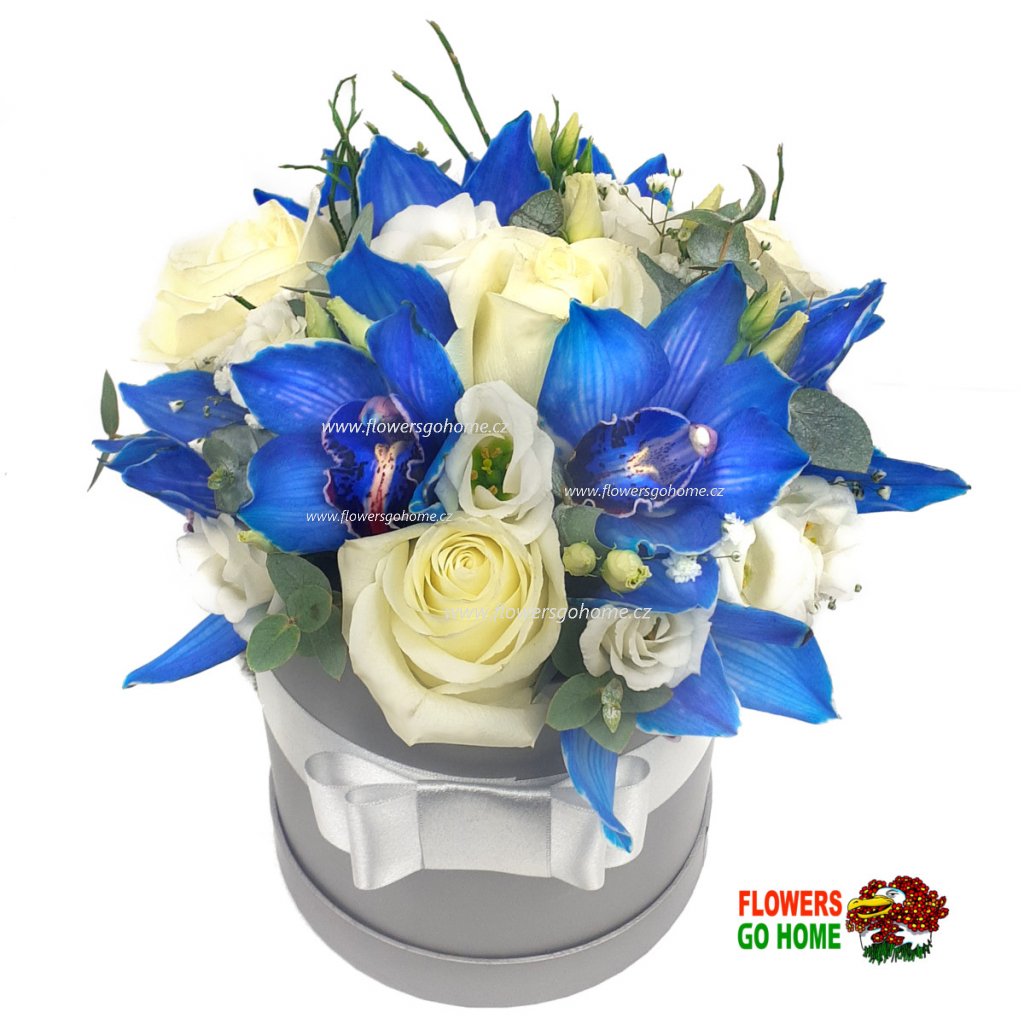 Modrá orchidej flowerbox