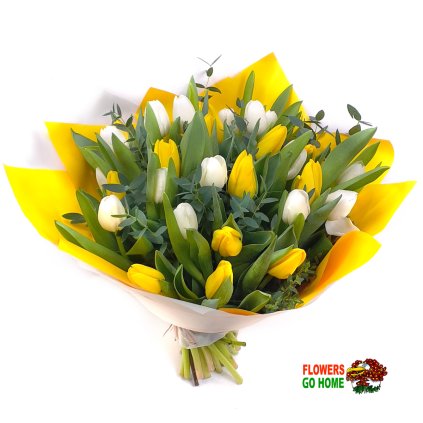 žluté a bílé tulipány