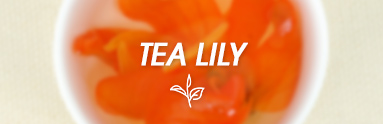 Vůně Tea Lily
