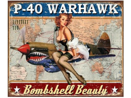 plechova cedule p 40 warhawk 40 cm x 32 cm