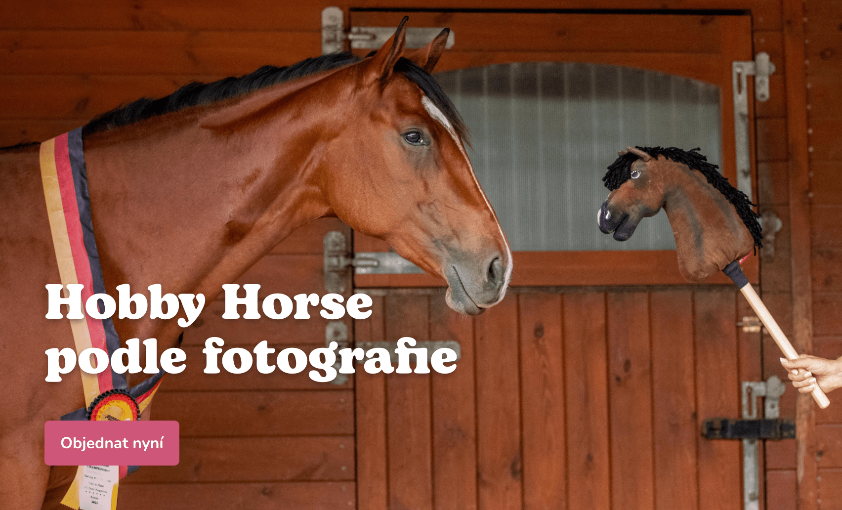 Hobby Horse podle fotografie - hobby horse, koník na tyči, kůň na tyči