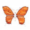 Brož ve tvaru motýla ze stříbra s Jantarem MKST8042022157400