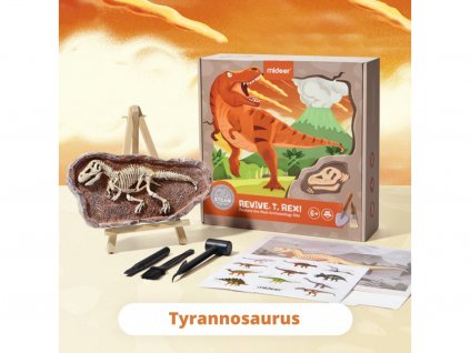 MD0175 mideer vykopavani dinosauru tyranosaurus