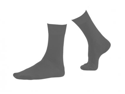 Pánske ponožky - Prince Standard