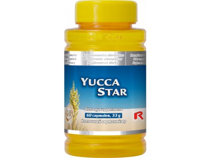 YUCCA Star - Starlife