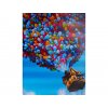 Maľovanie podľa čísiel s rámom Dom s balónmi - 50x40 cm