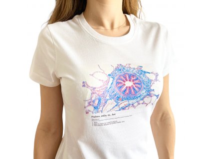 Histologické tričko dámské, plíce, histologická trička 100% bavlna, stoprocentní bavlna, velikost XS, S, M, L, XL, obvod prsou, délka trika, délka rukávu