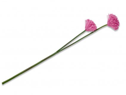 ALLIUMI Květina česnekový květ / plast / růžová