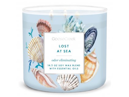Odor Eliminating Lost at Sea Large 3 Wick Candle