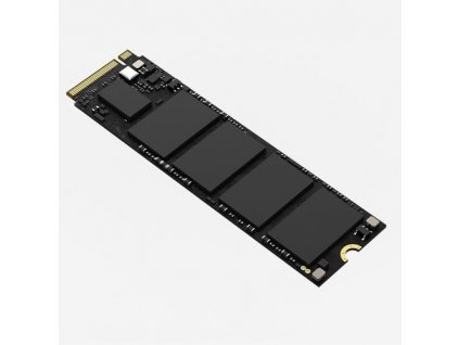 HIKSEMI SSD E1000 1024GB M.2 PCIe Gen3x4, NVMe, 3D NAND, 1TB (čtení max. 2460MB/s zápis max. 2475MB/s